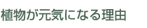 植物が元気になる理由